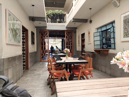 Café Tradición - Visual