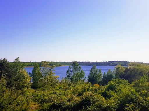 Paupitzscher See - Thumbnail