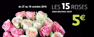 Photo n°2 de Fleurs Ô Naturel à Niort (Fleuriste)