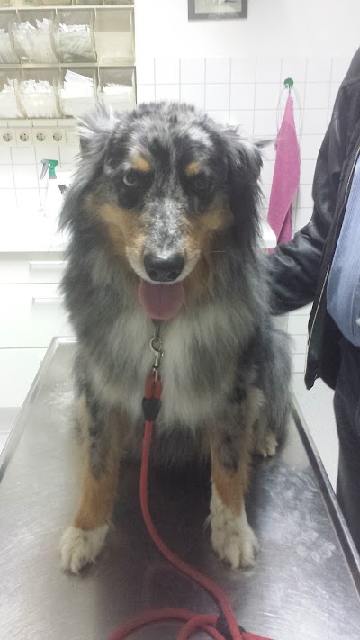 Photos of Animal Hospital Aachen Brand