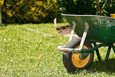 Athens Lawn Care and Service photo