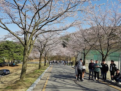 Photos of Myongji University Campus Nature