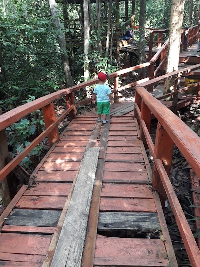 Photos of Wisata Hutan Pelawan