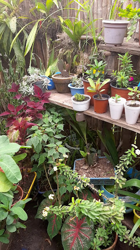 Florería y Jardinería De Clari - Centro de jardinería