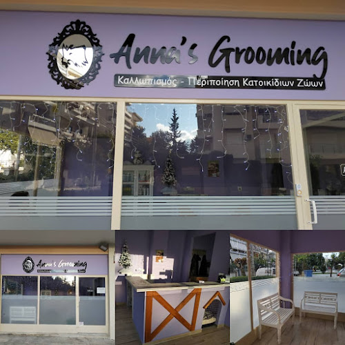 Opinii despre Anna's Grooming în Παλαιό Φάληρο - Κουρείο