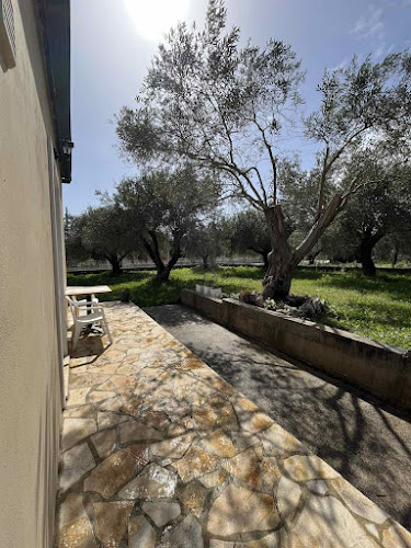 Comentarii opinii despre Kouris Apartment Garden View