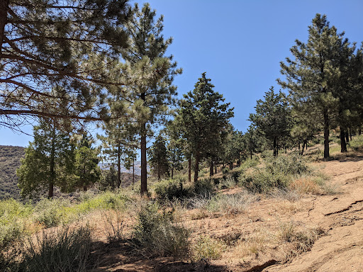 Jupiter Mountain Loop - Visual