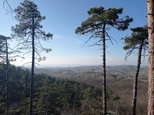 MORNESE - Visual