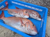 沼津セイリングスポット