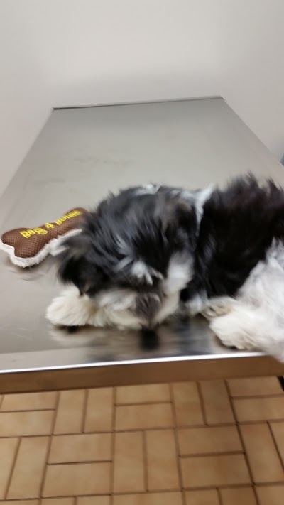 Photos of VCA Findlay Animal Care Center