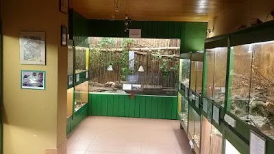 zoo