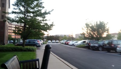 Photos of Staybridge Suites Chicago-Oakbrook Terrace