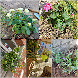 Photo n°16 de Résidence Etudiante LOGIFAC City Etudes à Valenciennes (Résidence universitaire)