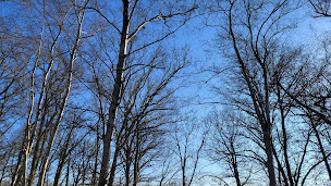 Photo n°1 de La Ferme de Jumelles à Jumelles (Magasin de produits de la ferme)
