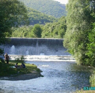Photos of Restaurant & Cafe Shevo