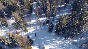 Photo n°22 de HOTEL / RESTAURANT DU SOLEIL à Aillon-le-Jeune (Restaurant de nouilles (ramen))