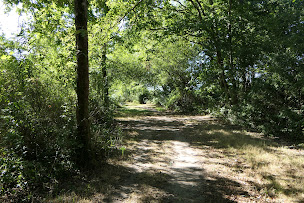 Photo n°11 de Mairie à Lanton (Hôtel de ville)