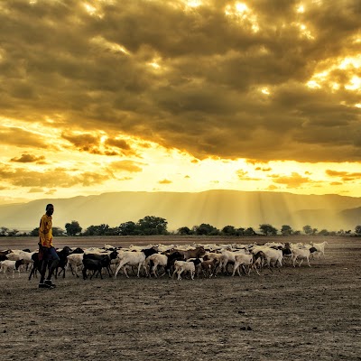 Photos of Shompole Conservancy