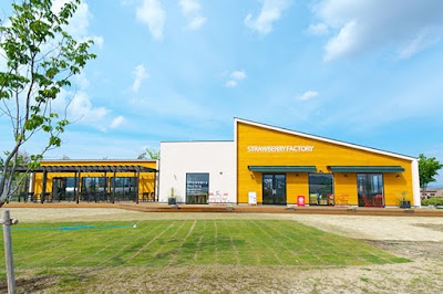 STRAWBERRY FACTORY