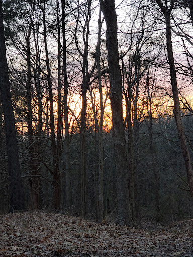 Walnut Grove Cabins - Thumbnail
