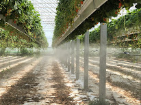 SASU LR Systems à Gontaud-de-Nogaret