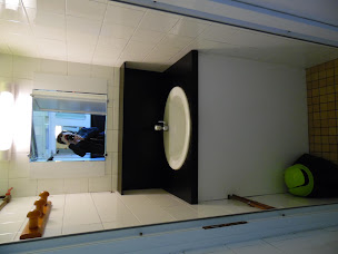 Photo n°11 de Camping Des Forges à Saint-Antoine-la-Forêt (Terrain de camping)