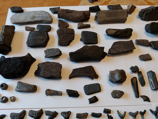 Fossil Expeditions - Thumbnail