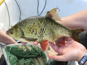 Photo n°14 de Fédération Départementale de Pêche du Rhône et de la Métropole de Lyon à La Tour-de-Salvagny (Association ou organisation)