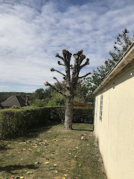 Photo n°4 de SARL BOIS ET PAYSAGES COMTOIS - LAMBERT & Fils à Roset-Fluans (Paysagiste)