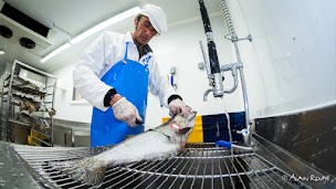 Photo n°4 de les fumaisons - île de Groix à Groix (Restaurant)