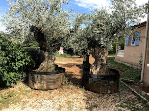 Photo n°11 de Avenir TP à Rognes (Entreprise de terrassement)