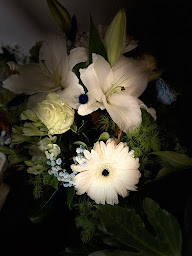 Photo n°25 de Féerie Florale à Bordeaux (Service de plantes d'intérieur)