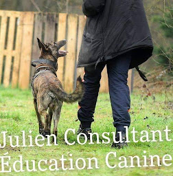 Photo n°18 de Edu'Canine à Cormoz (Pension pour chiens)