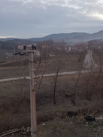 Photos of Galeri Vedat