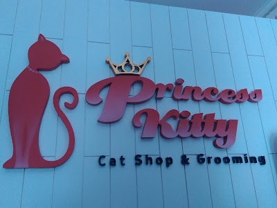 Photos of Princess Kitty, Cat Shop and Gromming