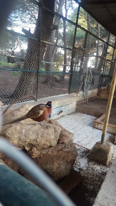 Photos of H&ocirc;tel Moncada