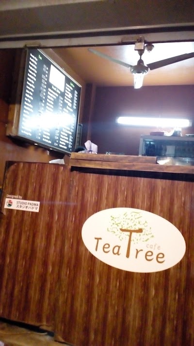 Photos of Tea Tree