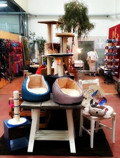 Photos of Petico 100% etico Toeletta|Pet Shop|Veterinario