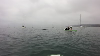 Photos of Kayak Sup Lilen