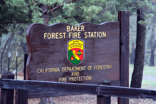 Baker Fire Station Gallery - United States