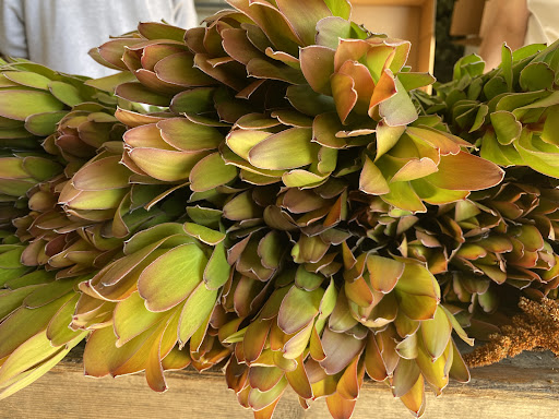 Northern California Flower Shippers - Thumbnail