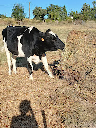 Photo n°4 de Fromagerie GARCIA à Lussan (Fromagerie)