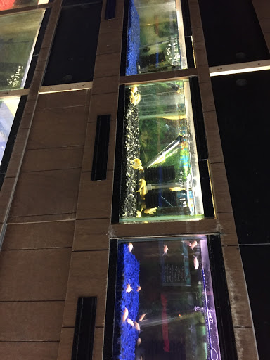 Inland Reef Pet Store