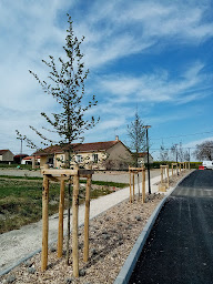 Photo n°6 de S.V.J PAYSAGE à Châtellerault (Entrepreneur spécialisé dans les clôtures)