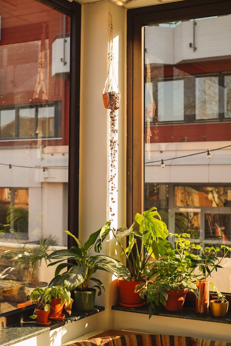 Café Cosmo — photo 10