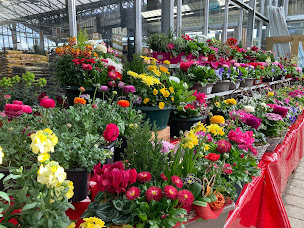 Photo n°31 de E.Leclerc Brico à Pont-Sainte-Maxence (Menuisier)