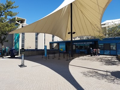 Photos of New York Aquarium
