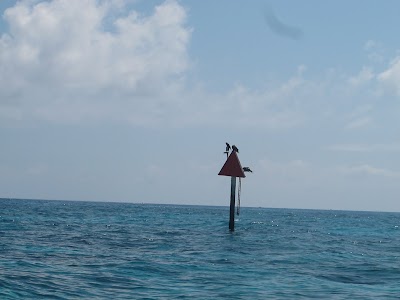 Photos of Florida Keys Dive Center