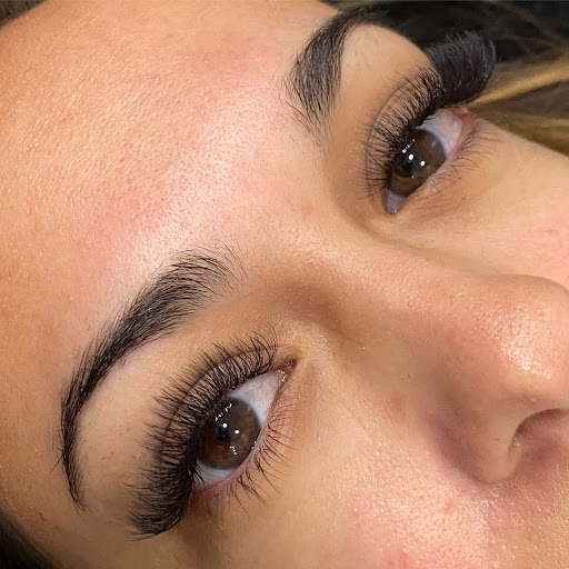 The Blush and Lash co.