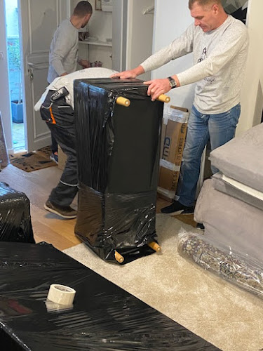 Comentarii opinii despre Mlle déménage